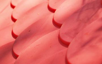 Gwynfryn plastic roof costs