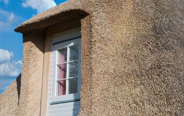 Gwynfryn thatch roof disadvantages