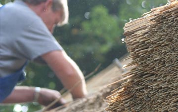 professional Gwynfryn thatchers