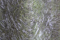 Gwynfryn fibreglass roof work